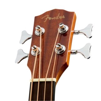 Acoustic Bass Guitar